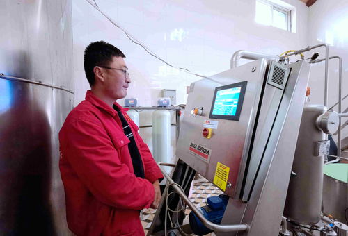 探秘中國葡萄酒第一鎮 技術咨詢如何助力產區騰飛