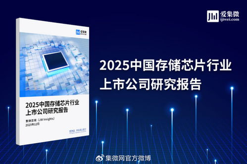 2025中國存儲(chǔ)芯片行業(yè)上市公司研究報(bào)告 技術(shù)演進(jìn)、市場格局與投資機(jī)遇